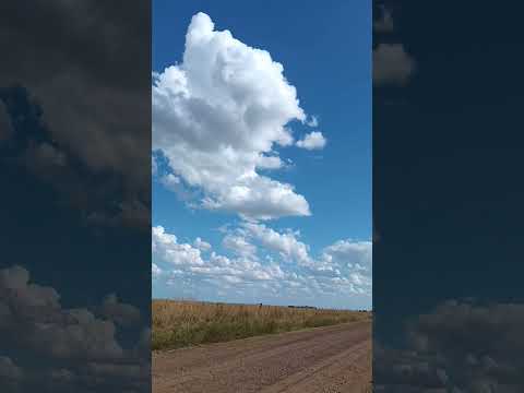 Ruta 4 , entre localidades de Celeste y Puntas de Valentín , departamento de Salto , Uruguay 🇺🇾 .