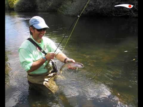 Madrid Fishing 2016