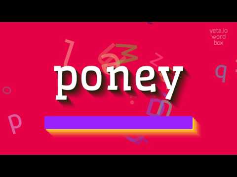 , title : 'HOW TO SAY PONEY? #poney'