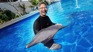 Download lagu SWIMMING WITH DOLPHINS!! mp3