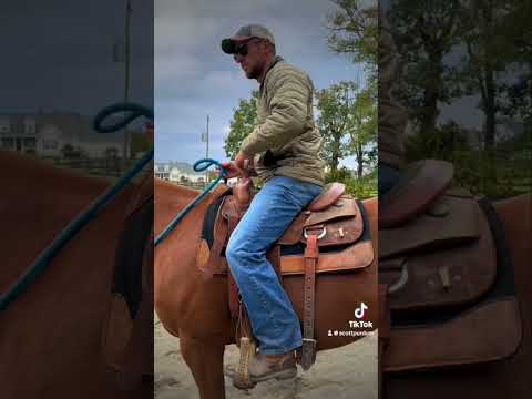 4 steps to improving your rising trot