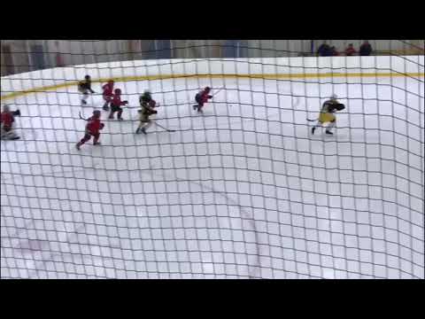 Maalintekoa #77 Kiekko-Nikkarit 08 vs Hifk 08 04.02.2018