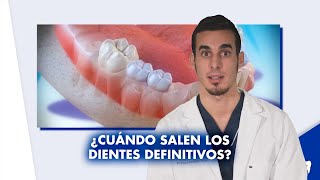 ¿Cuándo salen los DIENTES DEFINITIVOS o permanentes ¿En qué orden | #Shorts