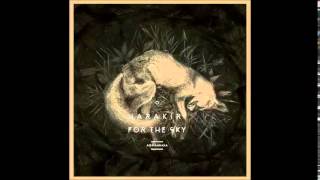 Harakiri For The Sky - Panoptycon