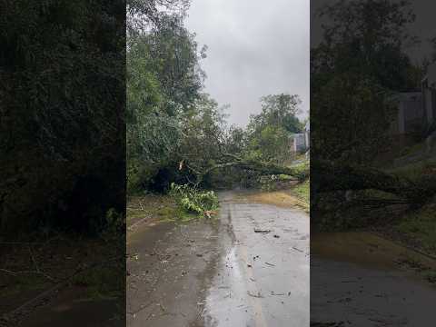 O que a chuva fez em Jaguariaíva #chuva #chuvaforte #paraná
