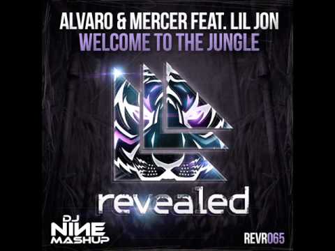 Alvaro & Melcer vs Blasterjaxx - Welcome our Soldiers (DJ Nine Mashup)