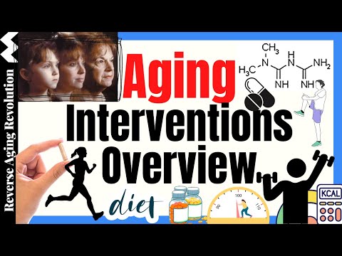 Aging Interventions From Drugs To Diet & Exercise