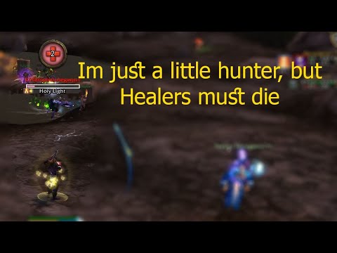 Diary of Marksmanship Hunter PvP (Battlegrounds) 3