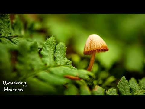 Liquid Drum and Bass - Wondering