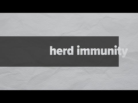 'Herd Immunity': Some experts say we need it to beat the coronavirus. Here's what it is and how it w