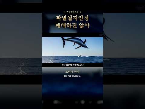 파멸될지언정 패배하진 않아 #shorts #노인과바다 #AI뮤비