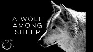 A Wolf Among Sheep - Motivational Video