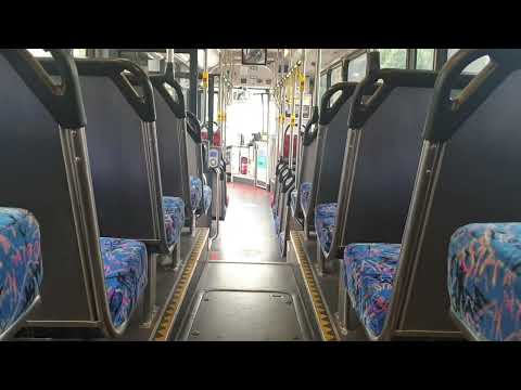 custom coaches cb60 evo 2 Volvo b12ble euro 5 on school 567