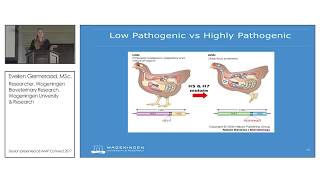 A Powerful Multiplex Serological Assay for Avian Influenza in Poultry (Webinar - 2017)