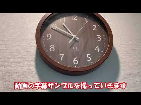 10分の動画に字幕を入れます イメージ1
