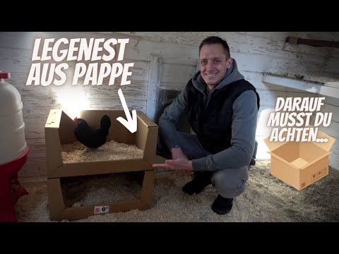 Hühner Tipp 31 - Legenest aus Pappe für Hühner - Darauf solltest du achten...
