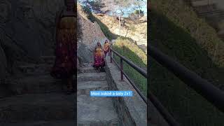 Dámské šaty sukně 2v1 Venezia, máky L/XL