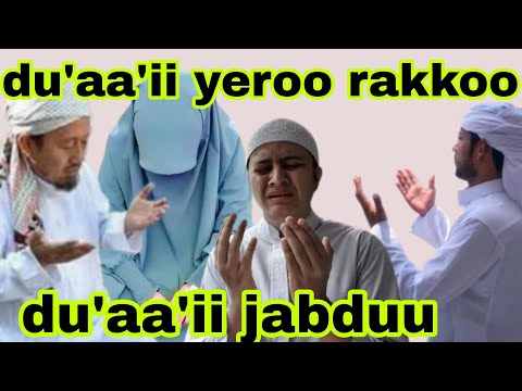 Du'aa'ii yeroo cinqii yeroo Rakkattee sitti dhiphatte yoonifi du'aa'i tanaan rabbi kadhatte