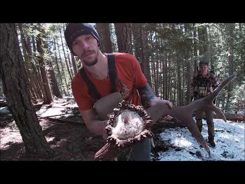 2020 Elk Shed Highlights. (The End) #SHEDREKT