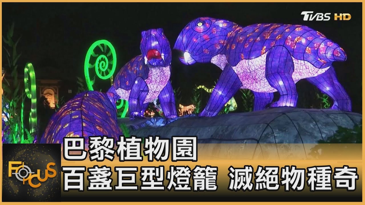 亮燈!滅絕古物種照亮巴黎 馬德里市集湧上千民眾
