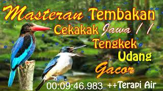Download lagu Masteran Tembakan Cekakak Jawa Tengkek Udang Gacor... mp3