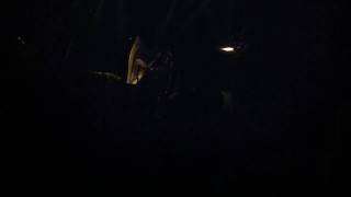 Armistice, Patrick Wolf @ Bronson (RA)