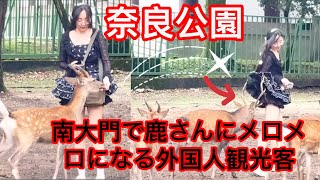 南大門で鹿さんにメロ💕 メロになる外国人観光客🫎| Japan Nara Deer park | one day Nara park Japan 🤗