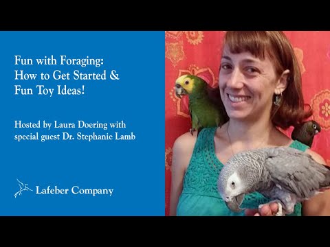 Fun with Foraging: How to Get Started & Fun Toy Ideas!