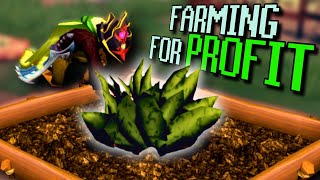 The Only Herb Run Guide YOU Need