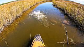 Sight Fishing for Redfish in Kayaks (Catch & Cook) | Field Trips Mississippi