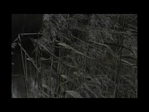 Aura Minimum - Fragments [Full Album]