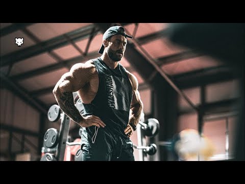 BAD WOLF 🐺 - Chris bumstead