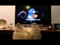 Oozzie Remy In Ratatouille 3