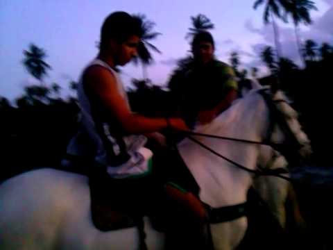 Toada mais Pega de Boi