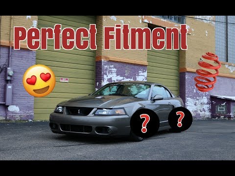 I Dropped the Terminator! | H&R Sport Spring Install