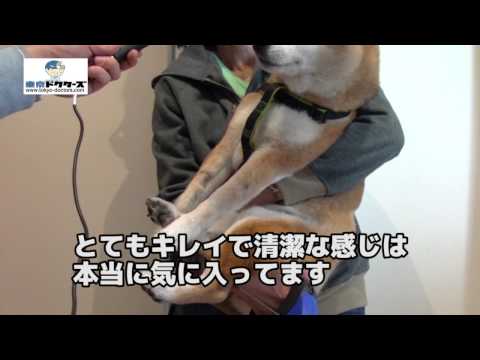 飼い主女性の声