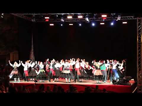 Braga FIF 2022 - G.F. Dr. Gonçalo Sampaio - Gota Minhota