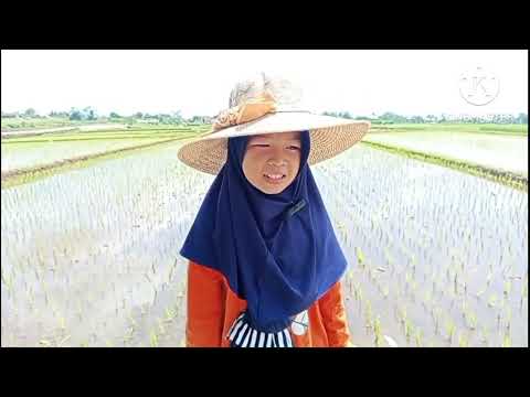 KEBUN REMPAH NUSANTARA