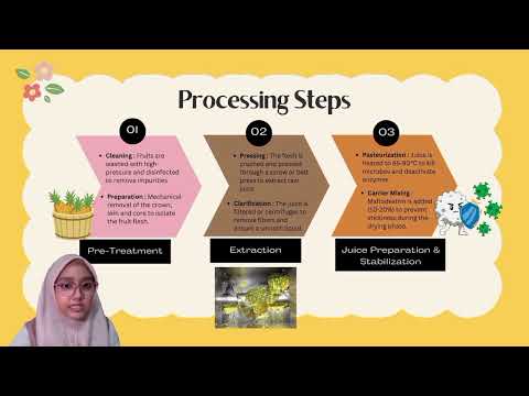 FSD 23503 - PRODUCTION OF PINEAPPLE JUICE POWDER