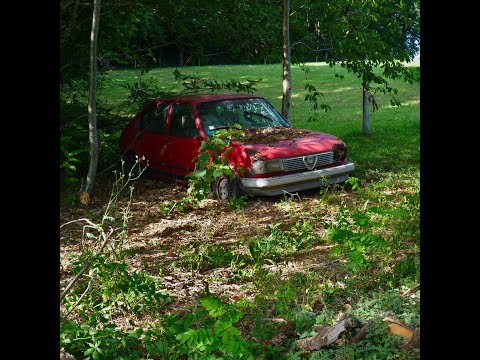 Zinedine Zidane (ft. Les Murray & Vaudeville Smash)