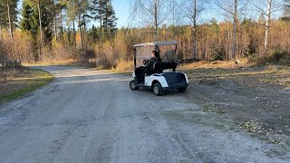 EZ-GO Elite RXV golfbil | Bild 4 - Autoline