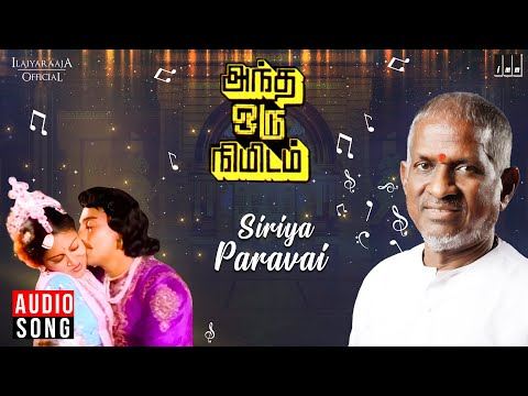 Siriya Paravai Song | Andha Oru Nimidam | Ilaiyaraaja | Kamal Haasan | SPB | S. Janaki | Vairamuthu