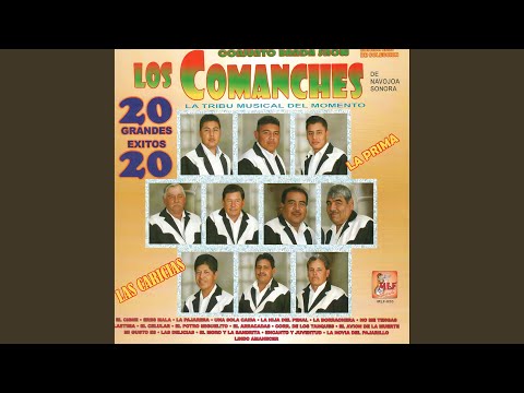 No Me Tengas Lastima