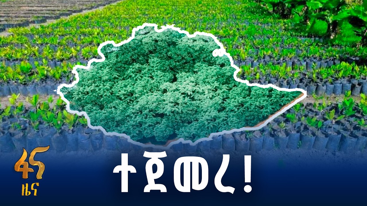 የክረምት የበጎ ፈቃድ ዘመቻ