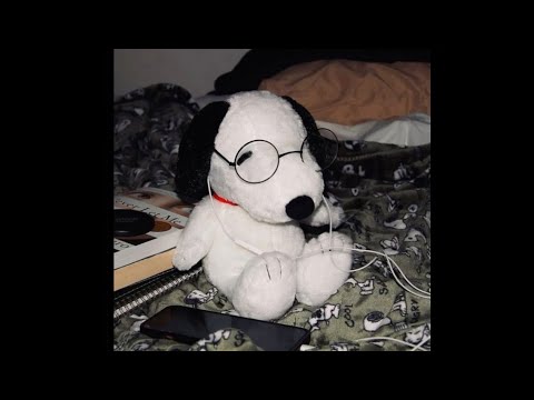 NARCOLESSIA - CORI DA STADIO DEL DERBY