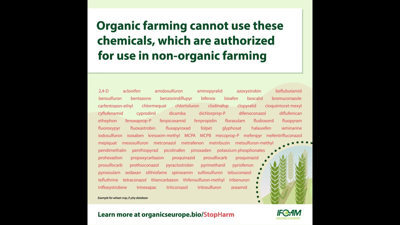 #StopHarm campaign: Organic wheat farming