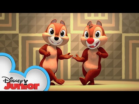"Soro Soke” Song | Shake Your Tail with Chip ‘N Dale! | @disneyjr