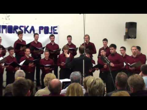 PAZ Vinko Vodopivec - Tehtanje duš (A. Kumar)