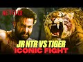 Royal Bengal Tiger ATTACKS Jr NTR Who Will Win This Epic Fight RRR Hindi Netflix India