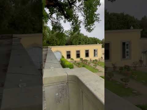 Villa Reale di Castello  ( Firenze) IMG 6223